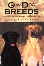 Item #112253 Gun Dog Breeds: A Guide to Spaniels, Retrievers, and Pointing Dogs. Charles Fergus