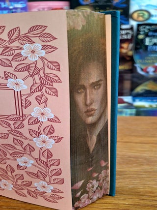 Twilight: Deluxe Collector&rsquo;s Edition (The Twilight Saga).